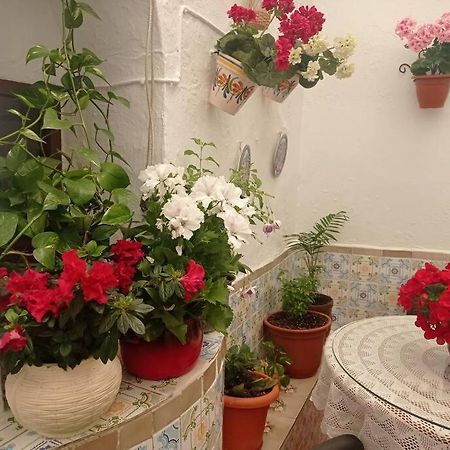 Casa Tipica De Pueblo Andaluz Villa Villanueva de San Juan ภายนอก รูปภาพ