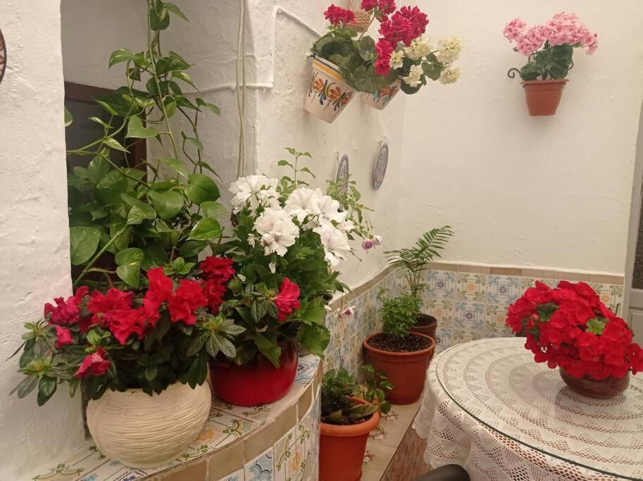 Casa Tipica De Pueblo Andaluz Villa Villanueva de San Juan ภายนอก รูปภาพ
